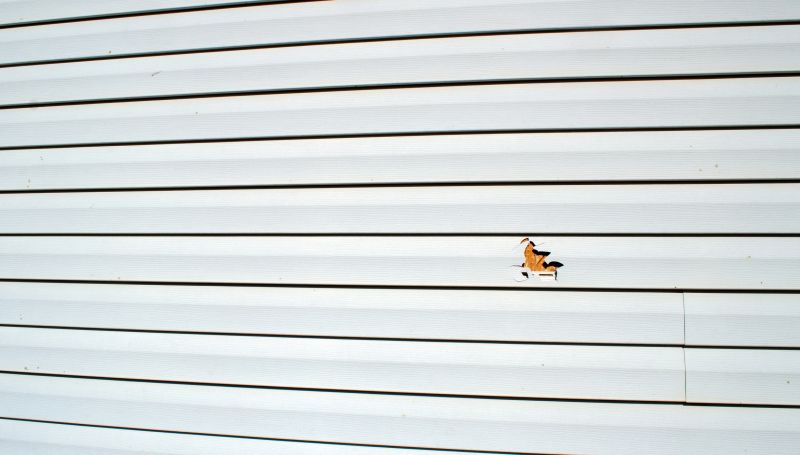 Vinyl Siding Repair - Final Touches